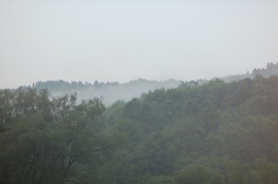 Fog #1-1.jpg