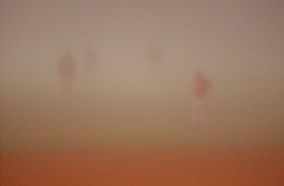 Fog #6-1.jpg
