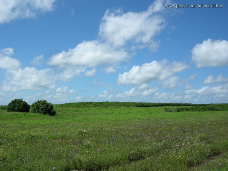 Windows XP - Wallpaper