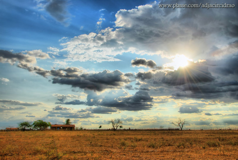 Final de Tarde, Canal
