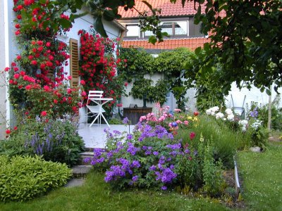 Our Garden