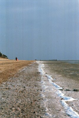 g6/39/776939/3/79864231.VlK25SkD.jpg