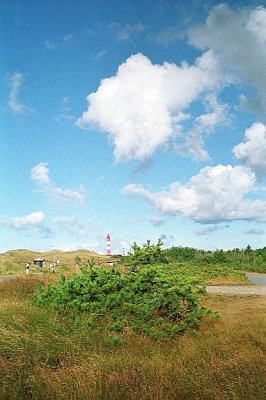 Amrum island