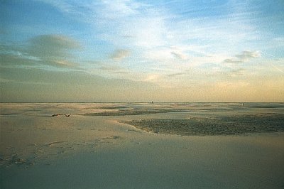 Amrum island