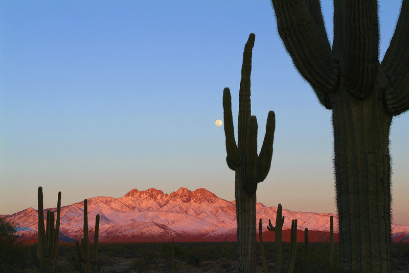 Last Light on Snowy Four Peaks