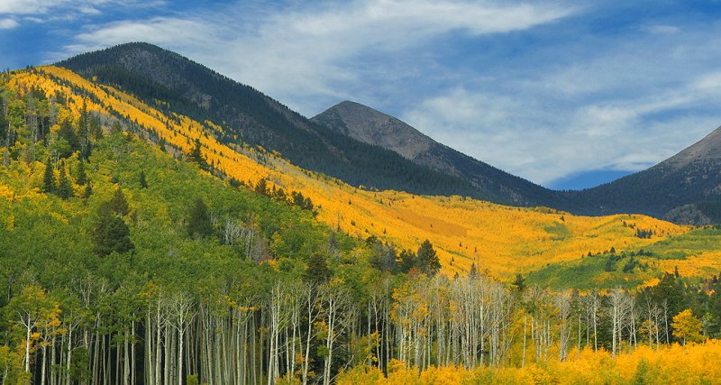 Flagstaff Locketts Meadow & Long Trunks
