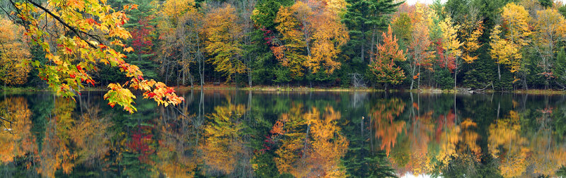 Adirondacks - Paul Smiths Pond Reflection (20x63)