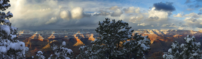 Grand Canyon NP - Snowy Foreground (21x71)