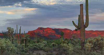 Superstitions Red Mountains