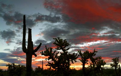 Gold Canyon Sunset