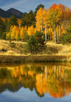 Flagstaff Locketts Meadow Pond Reflection 3