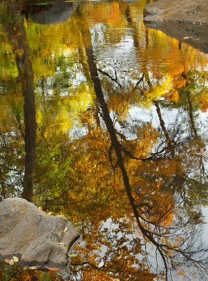 Oak Creek Fall Reflection