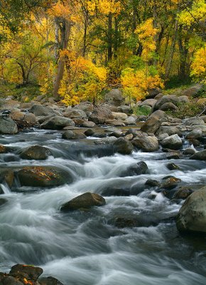 Oak Creek Rapids & Fall Color