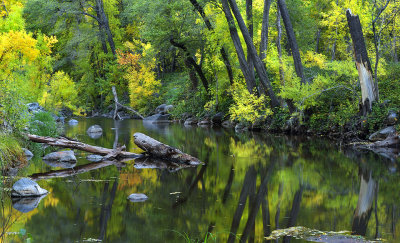 Oak Creek & Early Fall Color