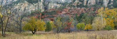 Oak Creek - West Fork Treeline Color Panoramic