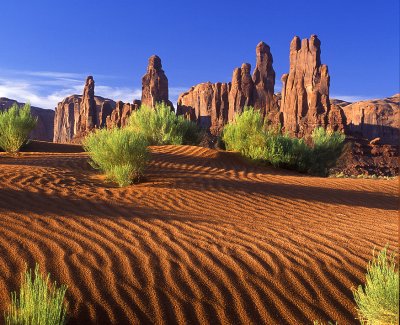 Monument Valley Sand Dunes & Rabbit Brush
