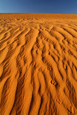 Monument Valley Tracks in Sand