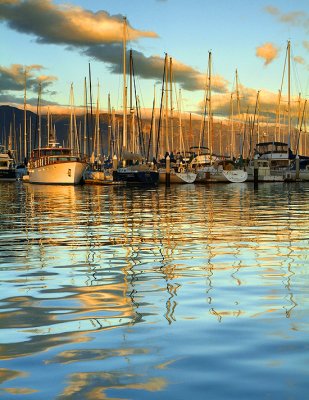 CA - Santa Barbara Harbor 16