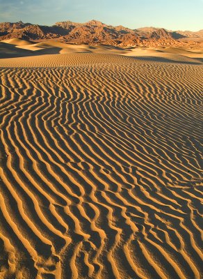 Death Valley Mesquite Flat Sand Dunes