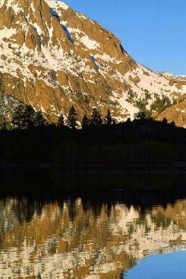 Gull Lake Treeline Silhouette