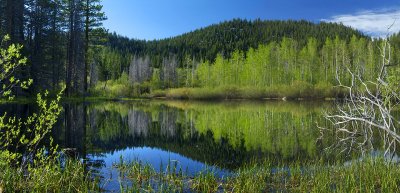 Lake Tahoe Morning Pond Reflection