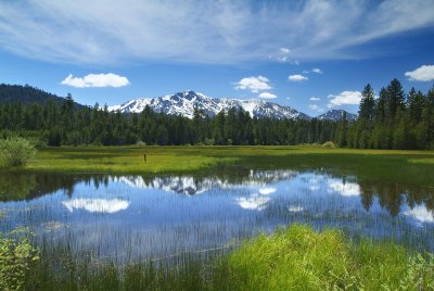 LakeTahoe Flooded Spring Meadow