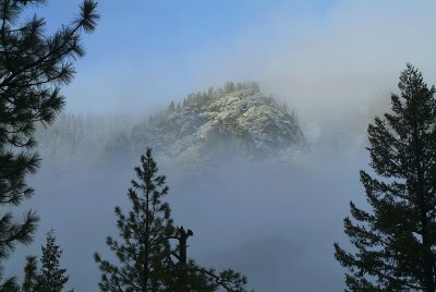Pine Silhouettes & Fog Enshrouded Peak