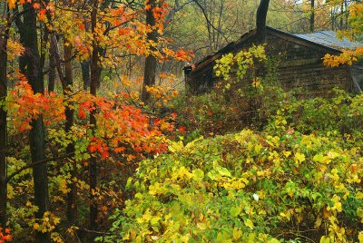 Ithaca Old Shack & Fall Color