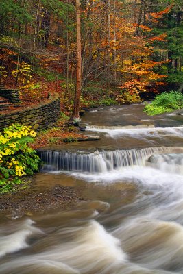 Wolfe Creek Rapids & Fall Color