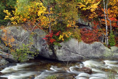 East Ausable River & Fall Colors