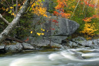 East Ausable River & Fall Colors