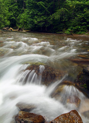 Avalanche Creek Cascade