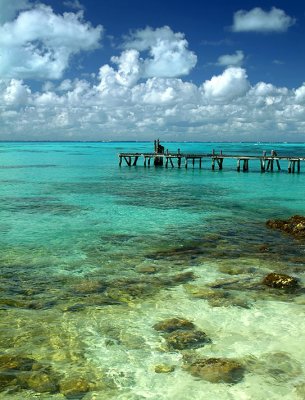 Garrafone Blue Waters Coral & Dock