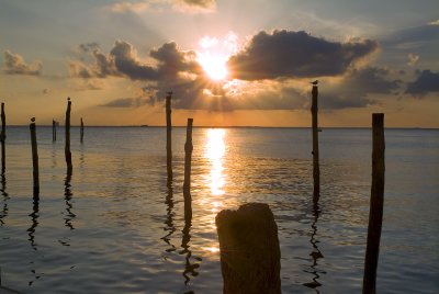 Poles & Sun Rays