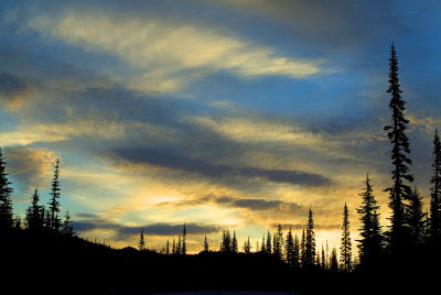 Mt Rainier NP - Treeline Sunrise