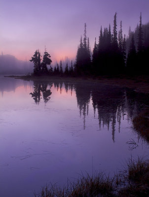 Mt Rainier NP - Reflection Lake Purple Haze