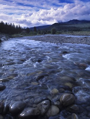 Grand Teton NP - Spread Creek