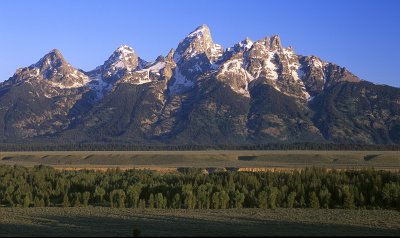 Grand Teton NP - Glacier Overlook