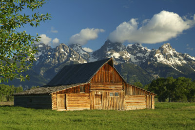 Grand Teton NP - Morman Row