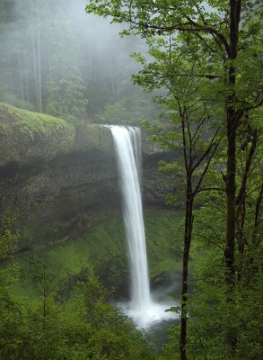 Silver Falls State Park - Upper South Falls