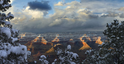Grand Canyon NP - Snowy Foreground (23x45)