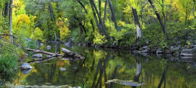 Oak Creek Reflection (23x51)