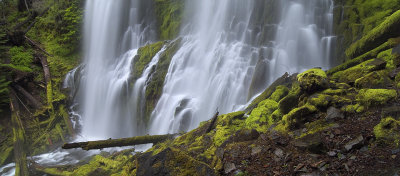 Oregon's Proxy Falls (16x36)