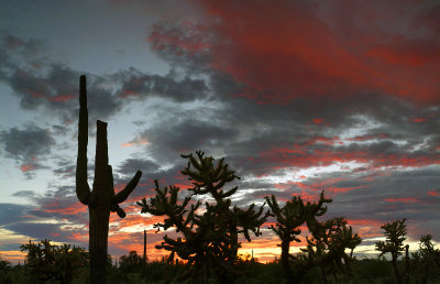 Superstition Mountains Sunset Silhouette (23x36)