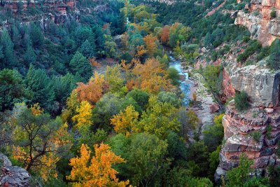Oak Creek Canyon Fall Color