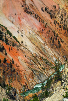 Yellowstone NP - Grand Canyon of Yellowstone Wall Detail
