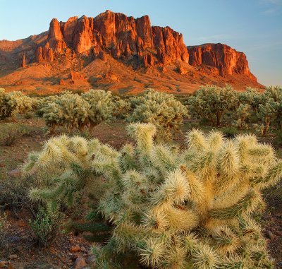Lost Dutchman SP - Superstitions Mountains & Chollo Foreground (23x25)