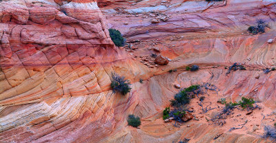 Coyote Buttes South - Pink Purple  Orange Layers