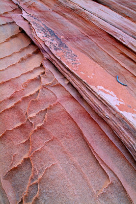 Coyote Buttes South - Sandstone Layers  Fins