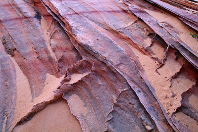 Coyote Buttes South - Sandstone Layers  Fins